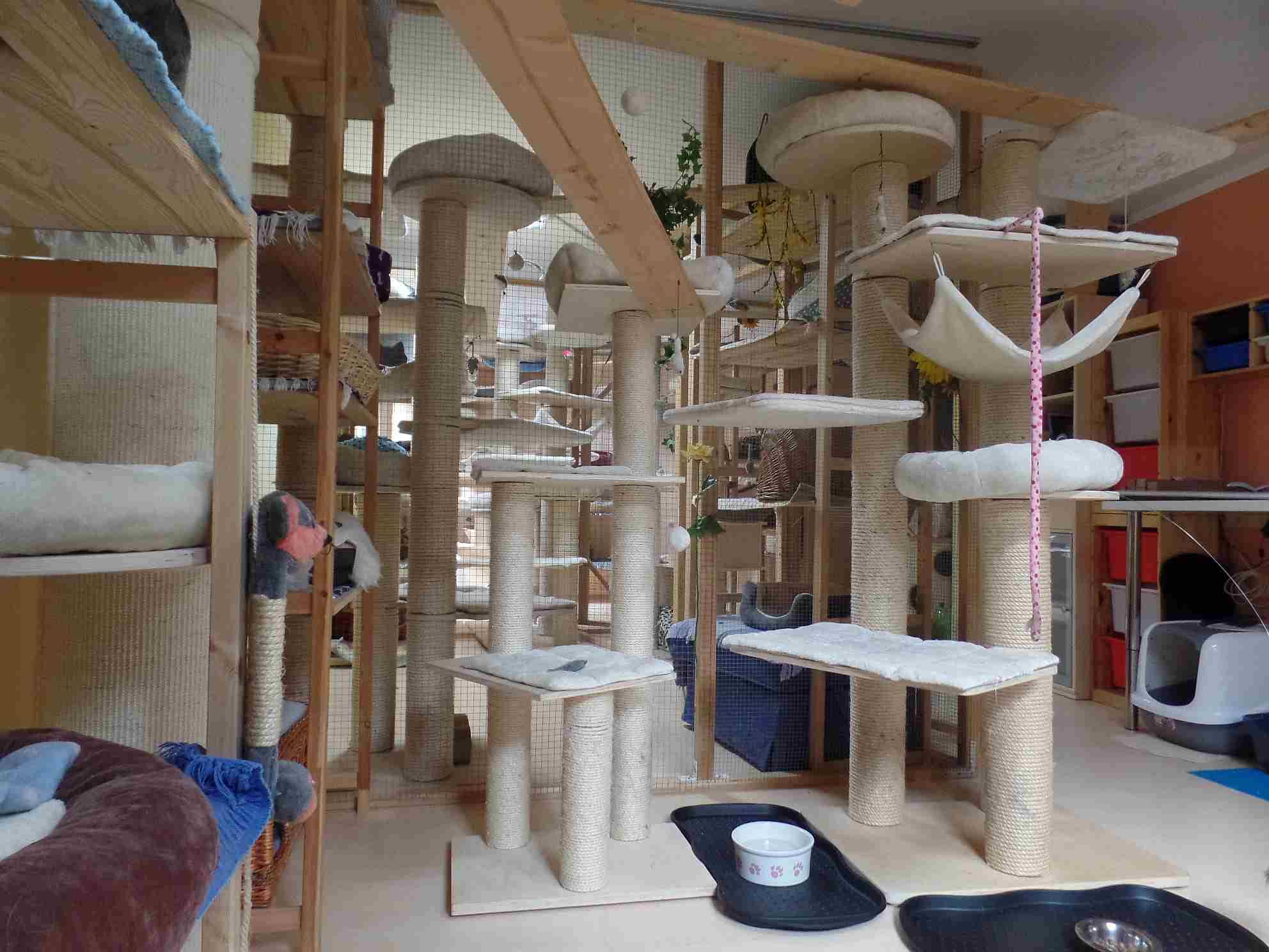 Kletterlandschaft aus Holz mit Hängematten und Liegemulden