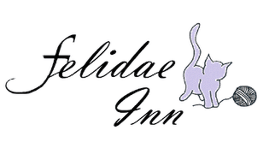 Felidae Inn – Urlaub für die Katz'